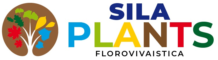 Vivaio Sila Plants Logo